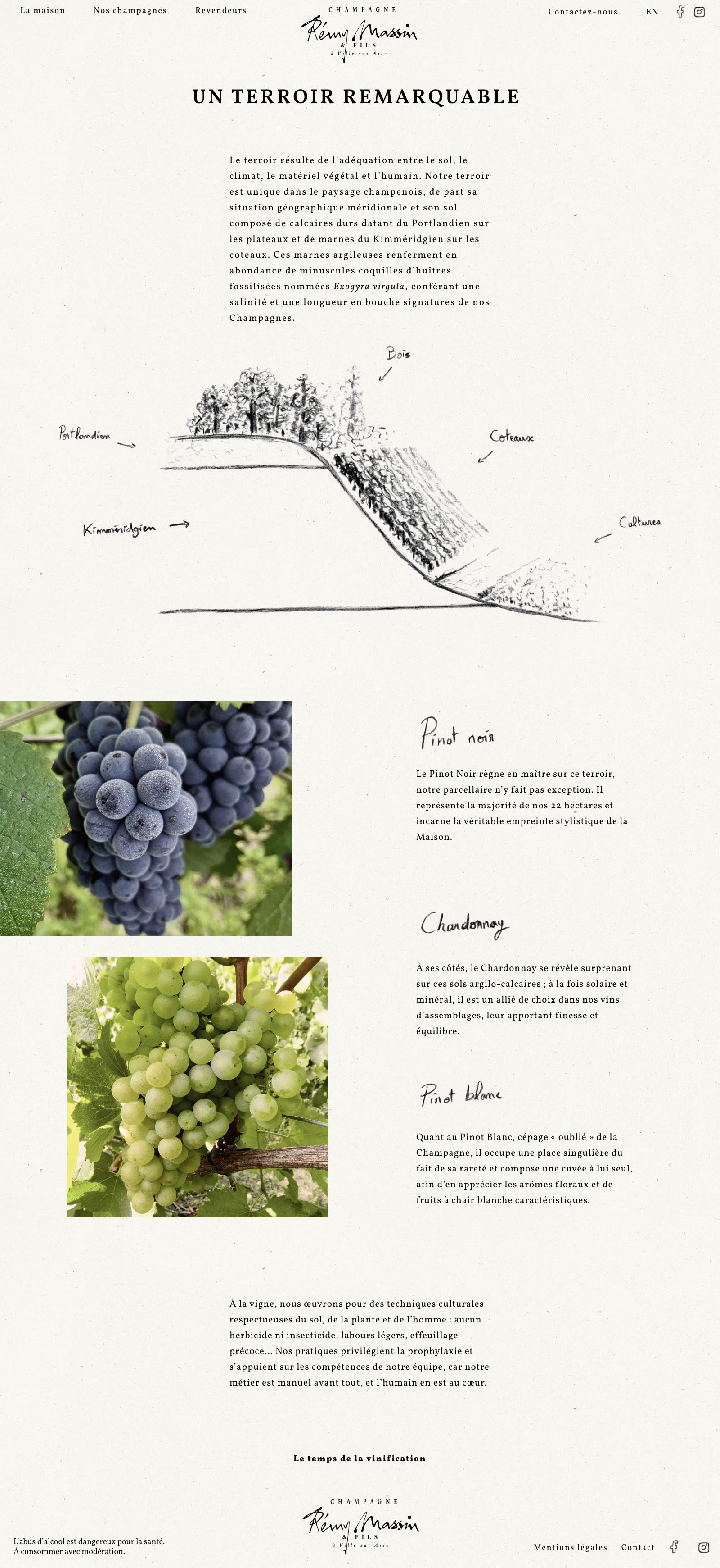 Champagne Rémy Massin — un terroir remarquable